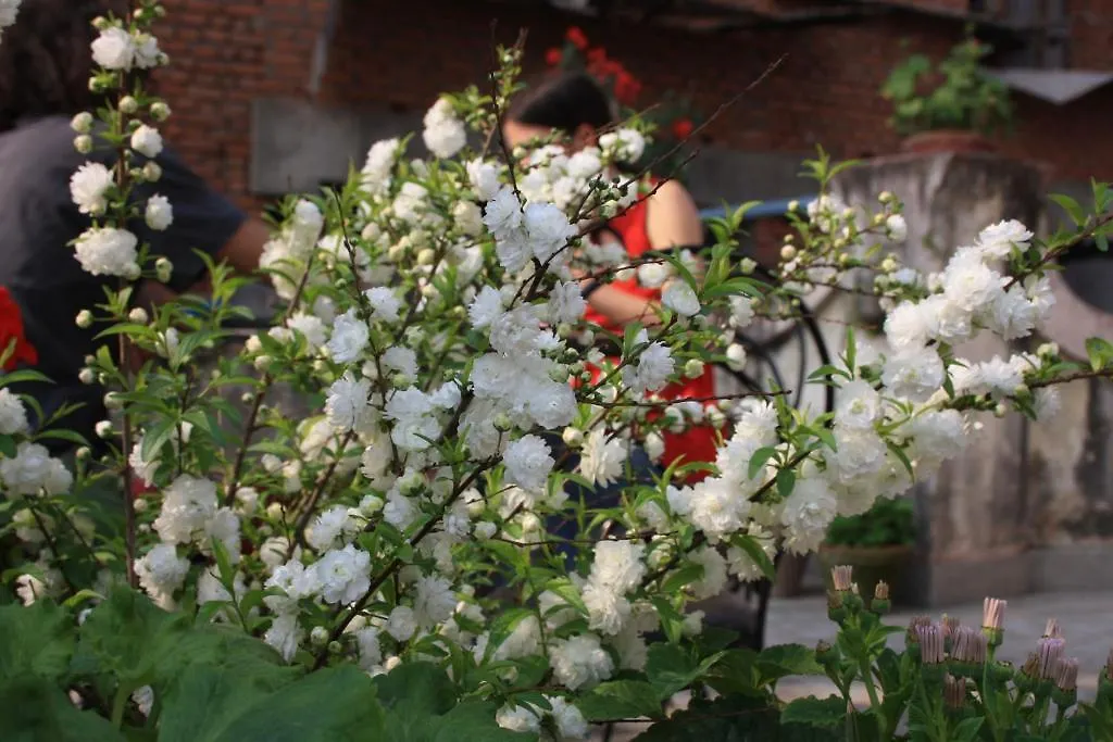 Tasi Dhargey Inn Kathmandu