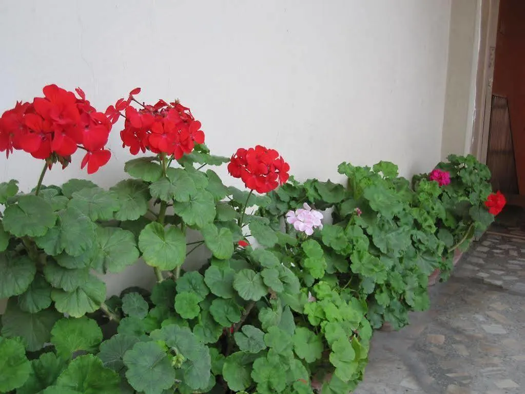 Tasi Dhargey Inn Kathmandu